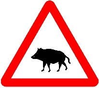 Señal P-24a: paso de animales en libertad (jabalíes)